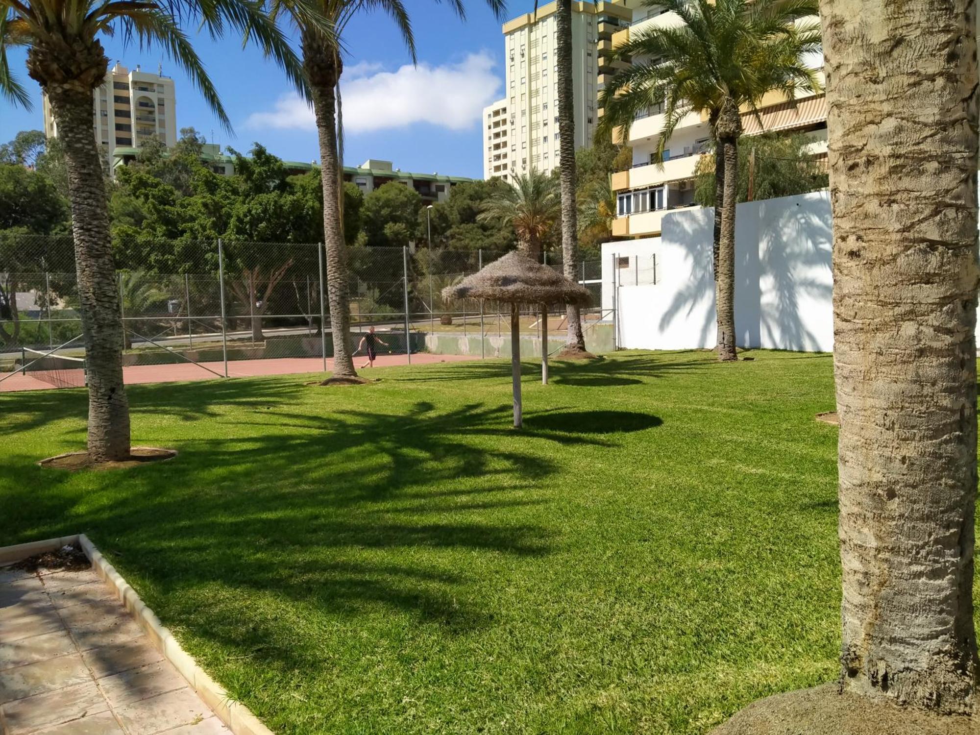Estudio Paraiso *